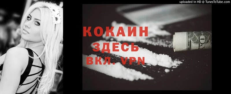 Cocaine Fish Scale Волжский